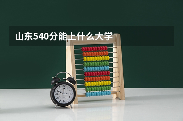山东540分能上什么大学