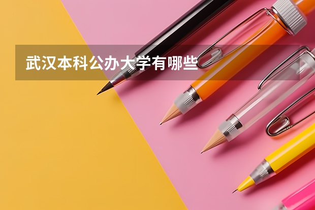 武汉本科公办大学有哪些