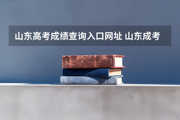 山东高考成绩查询入口网址 山东成考成绩查询入口在哪?