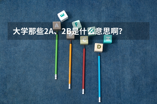 大学那些2A、2B是什么意思啊？