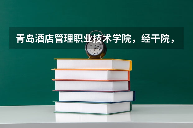 青岛酒店管理职业技术学院,经干院,山东外贸职业学院哪个更好?济南文科461能上哪个?