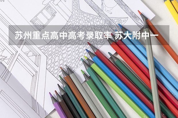 苏州重点高中高考录取率 苏大附中一本录取率