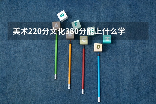 美术220分文化380分能上什么学校