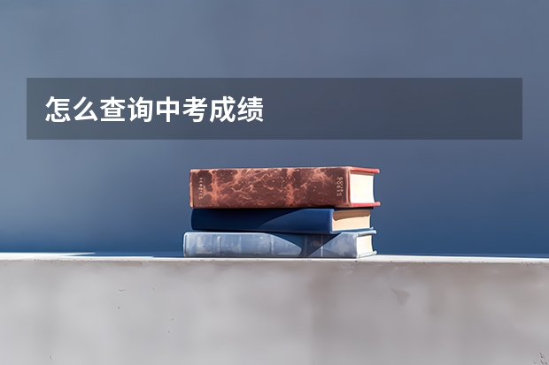 怎么查询中考成绩