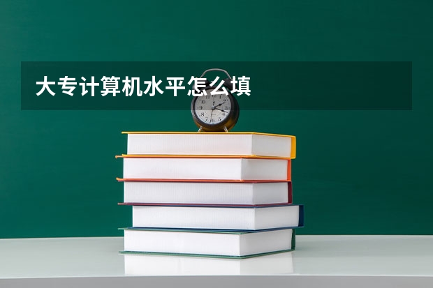 大专计算机水平怎么填