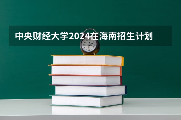 中央财经大学2024在海南招生计划 招多少人