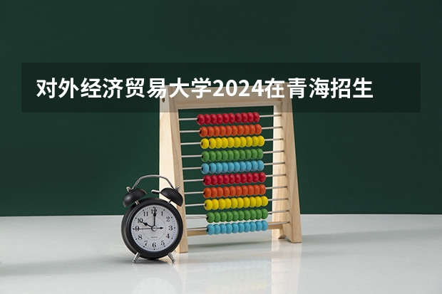 对外经济贸易大学2024在青海招生计划 招多少人
