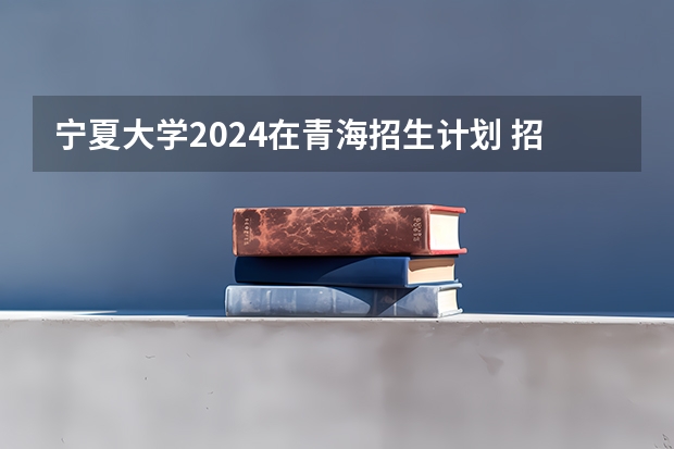 宁夏大学2024在青海招生计划 招多少人
