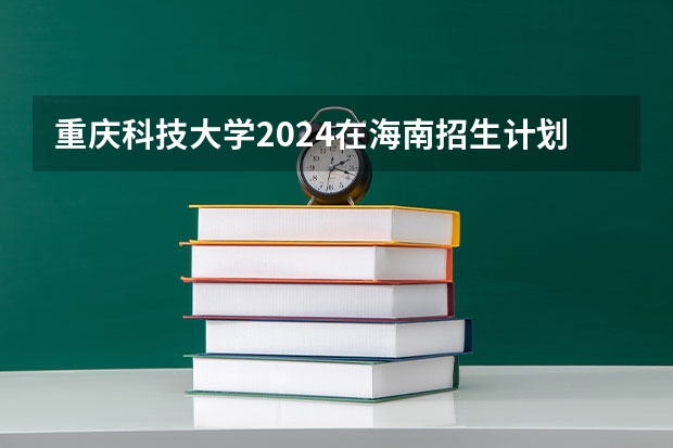 重庆科技大学2024在海南招生计划 招多少人