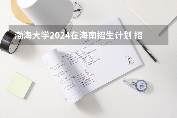 渤海大学2024在海南招生计划 招多少人