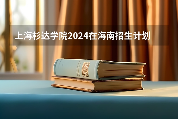 上海杉达学院2024在海南招生计划 招多少人