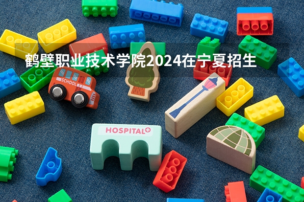 鹤壁职业技术学院2024在宁夏招生计划 招多少人