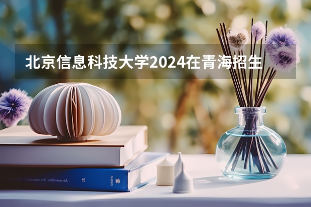 北京信息科技大学2024在青海招生计划 招多少人