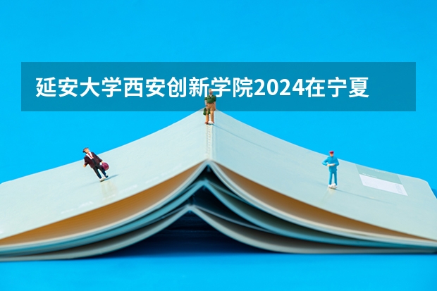 延安大学西安创新学院2024在宁夏招生计划 招多少人