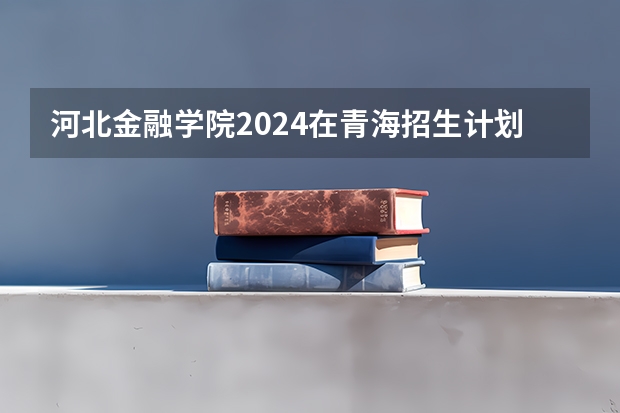 河北金融学院2024在青海招生计划 招多少人