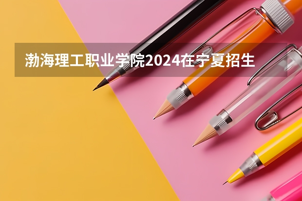 渤海理工职业学院2024在宁夏招生计划 招多少人