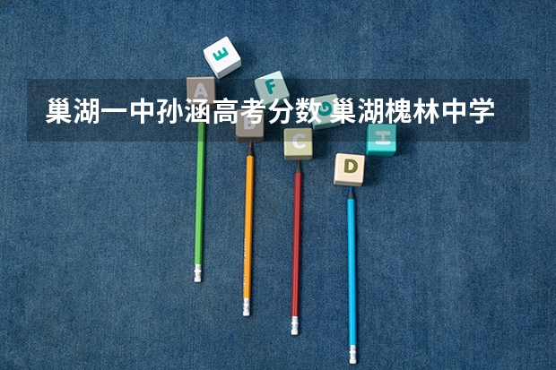 巢湖一中孙涵高考分数 巢湖槐林中学分数线