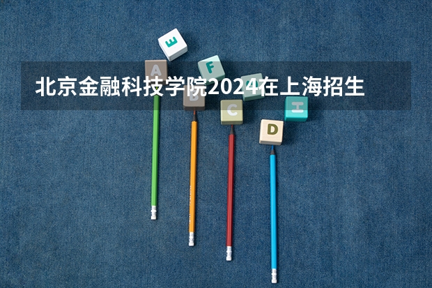 北京金融科技学院2024在上海招生计划 招多少人