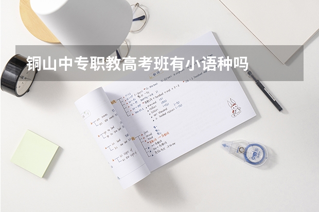 铜山中专职教高考班有小语种吗