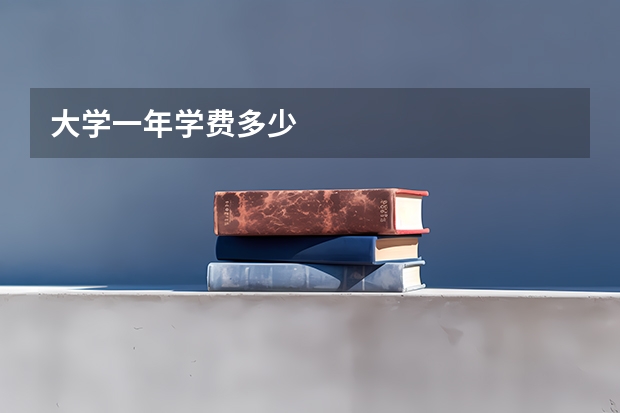 大学一年学费多少