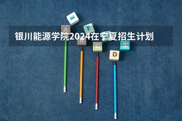 银川能源学院2024在宁夏招生计划 招多少人