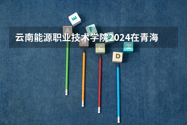 云南能源职业技术学院2024在青海招生计划 招多少人