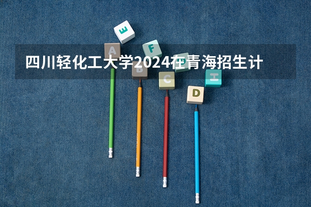 四川轻化工大学2024在青海招生计划 招多少人