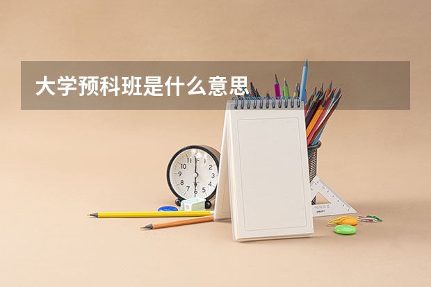 大学预科班是什么意思