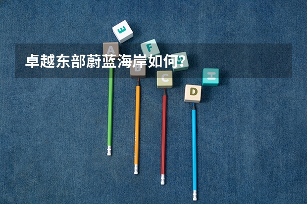 卓越东部蔚蓝海岸如何？