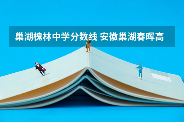 巢湖槐林中学分数线 安徽巢湖春晖高考分数查询？