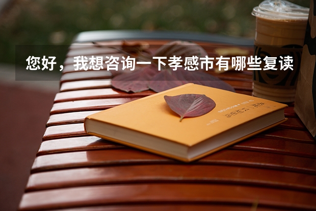 您好,我想咨询一下孝感市有哪些复读学校适合理科生的?