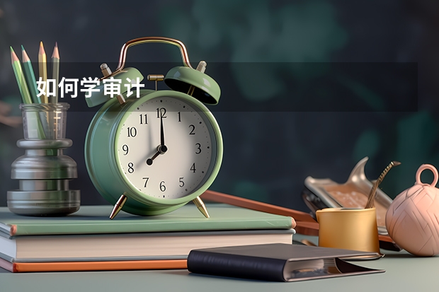 如何学审计