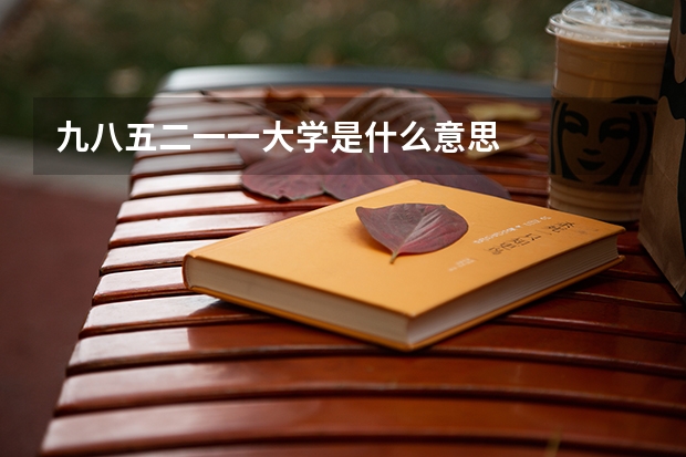 九八五二一一大学是什么意思
