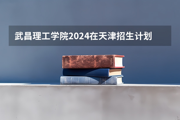 武昌理工学院2024在天津招生计划 招多少人