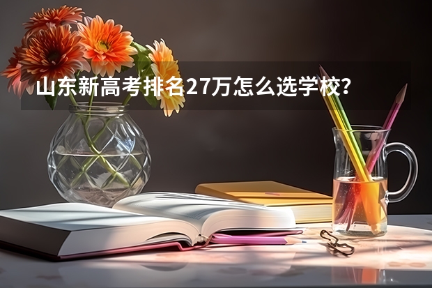 山东新高考排名27万怎么选学校?