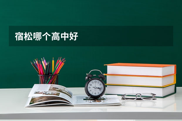 宿松哪个高中好