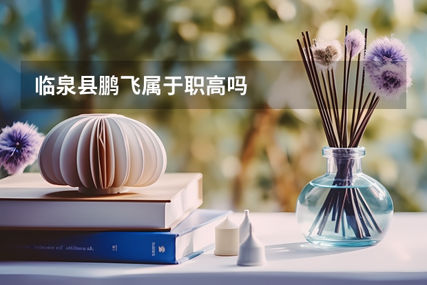 临泉县鹏飞属于职高吗