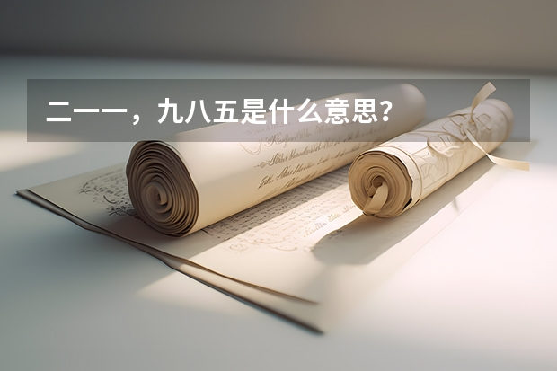 二一一，九八五是什么意思？