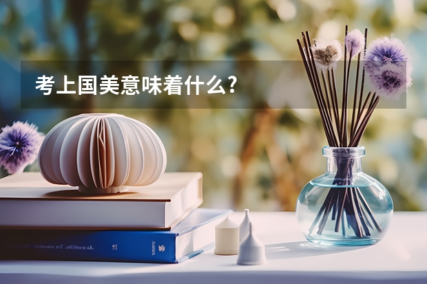 考上国美意味着什么?