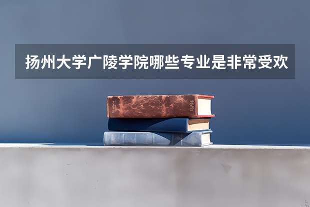 扬州大学广陵学院哪些专业是非常受欢迎的？