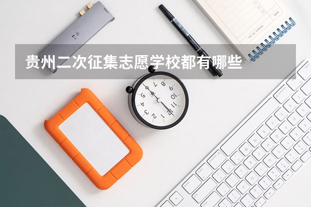 贵州二次征集志愿学校都有哪些