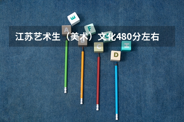 江苏艺术生(美术)文化480分左右分能上什么大学?