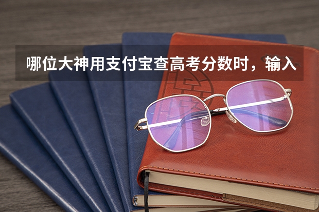 哪位大神用支付宝查高考分数时,输入的查询密码是什么?