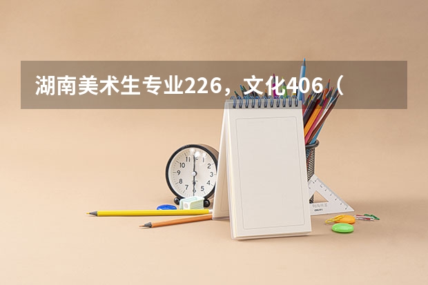湖南美术生专业226,文化406(理)可以读哪些学校啊