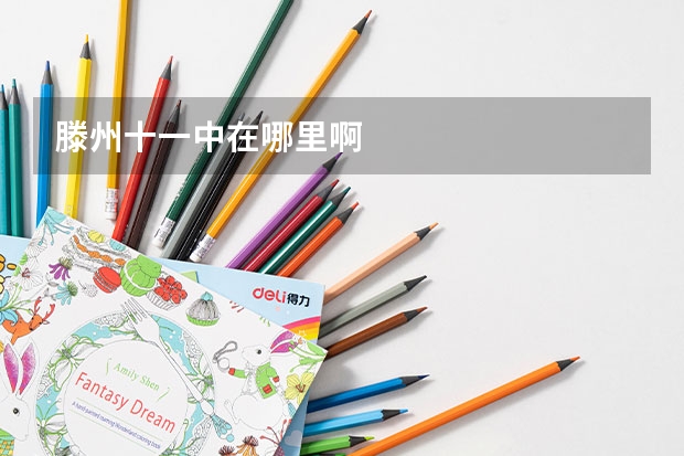滕州十一中在哪里啊