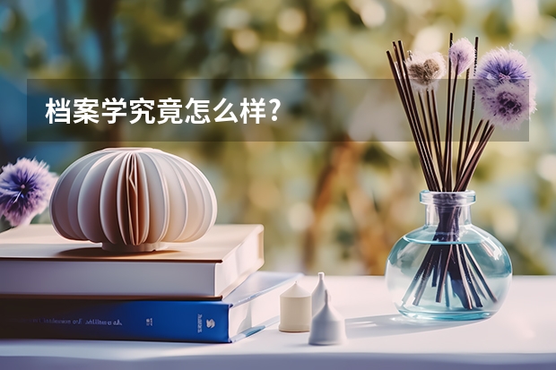 档案学究竟怎么样?
