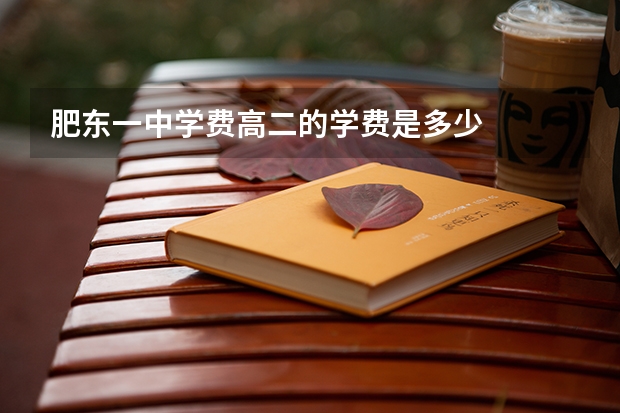 肥东一中学费高二的学费是多少