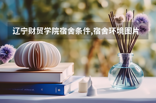 辽宁财贸学院宿舍条件,宿舍环境图片(10篇)（辽宁省交通高等专科学校宿舍条件）