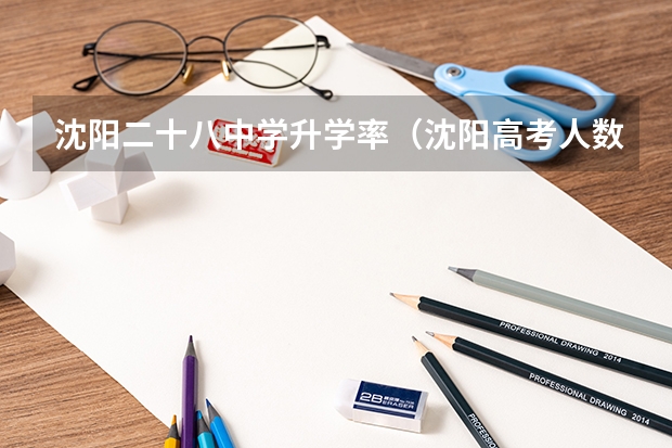 沈阳二十八中学升学率(沈阳高考人数)