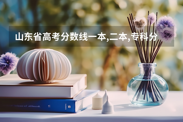 山东省高考分数线一本,二本,专科分数线 1996年山东高考理科录取分数线